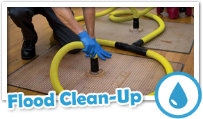 Clean Up Water Damage